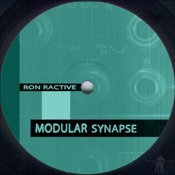 Modular Synapse