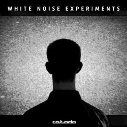 White Noise Experiments
