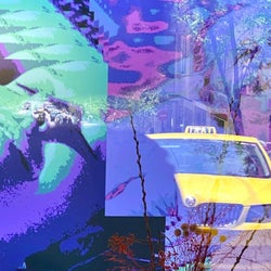Long Way Home (Dec. 2025)