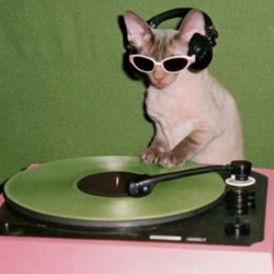 Warm-Up Minimal/ Tech House