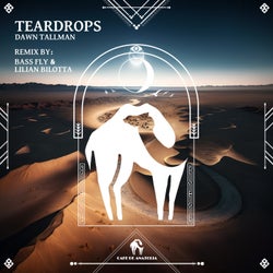 Teardrops (Bass Fly & Lilian Bilotta Remix)