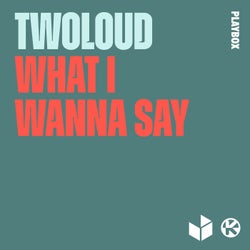 What I Wanna Say (Extended Mix)