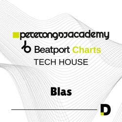 PTDJA - Tech House Record Bag by Blas