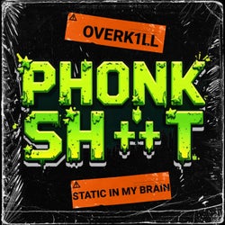 Static In My Brain