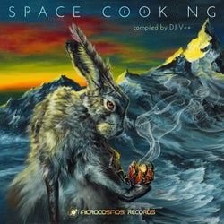 Space Cooking