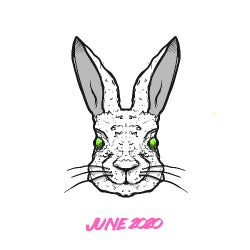 The Rabbit Hole - June 2020