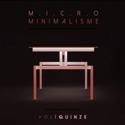 Micro Minimalisme Vol. Quinze