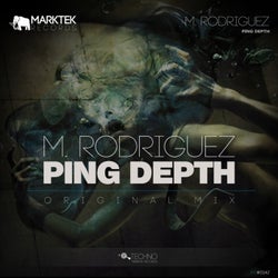 Ping Depth