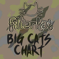 Filterkat's Big Cats Chart