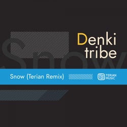 Snow (Terian Remix)