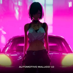 AUTOMOTIVO MALUCO 1.0