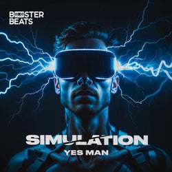 Simulation