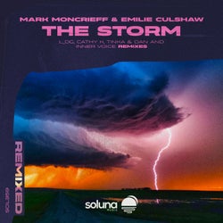The Storm Remixed