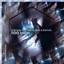 Too High - Extended Mix