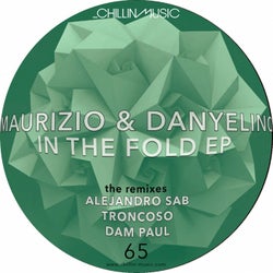 In the Fold EP - The Remixes
