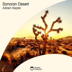 Sonoran Desert