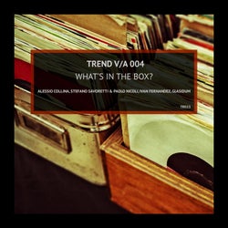 V/A 004 - What's in the box?