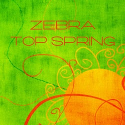 Zebra Top Spring
