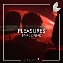 Pleasures (Instrumental)