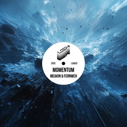 Momentum