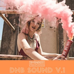 DNB Sound, Vol. 1