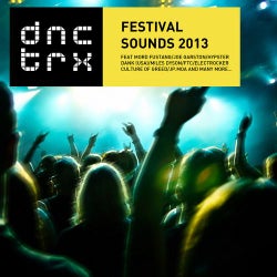 Festival Sounds 2013