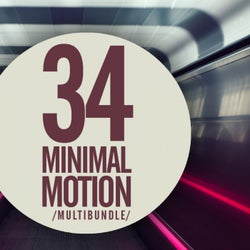 34 Minimal Motion Multibundle