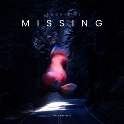 Missing (The Album)