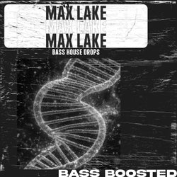 Bass House Drops