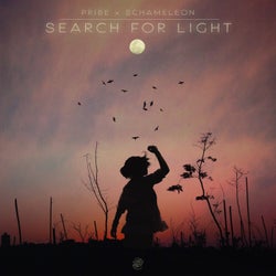 Search For Light