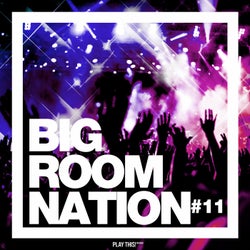 Big Room Nation Vol. 11