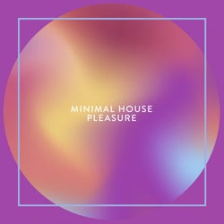 Minimal House Pleasure