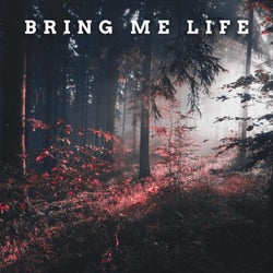 Bring Me Life