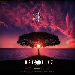 JOSÉ DÍAZ- DEEP ORGANIC HOUSE DOWNTEMPO - 261