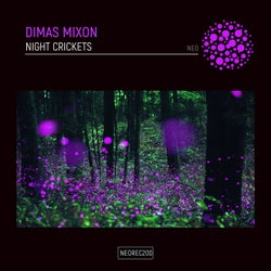 Night Crickets