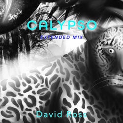 Calypso (Extended Mix)