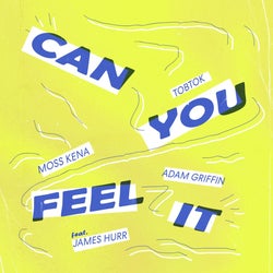 Can You Feel It (feat. James Hurr)