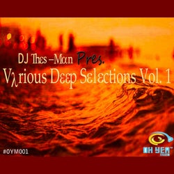 DJ Thes-Man Presents: Various Deep Selections, Vol. 1