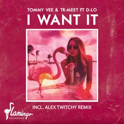 I Want It - Extended Mix