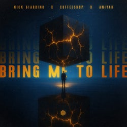 Bring Me to Life
