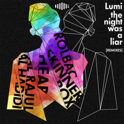 The Night Was a Liar (Remixes)