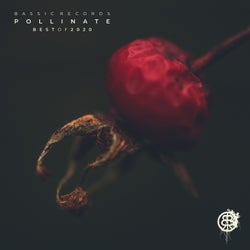 Pollinate - Best of 2020
