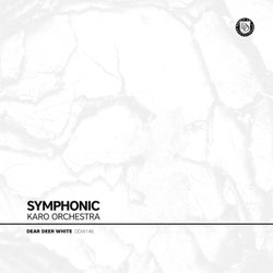 Symphonic LP