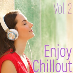 Enjoy Chillout, Vol. 2