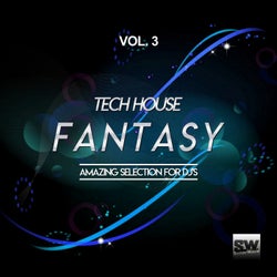 Tech House Fantasy, Vol. 3 (Amazing Selection For DJ's)