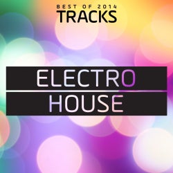 Top Tracks 2014: Electro House