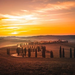 Tuscany Falls