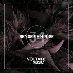 Sense Of House Vol. 34