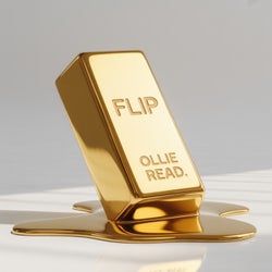 FLIP