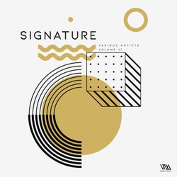 Variety Music pres. Signature Vol. 17